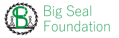 Big Seal Foundation
